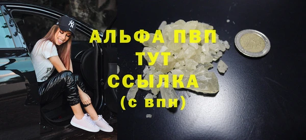 СК Богородск