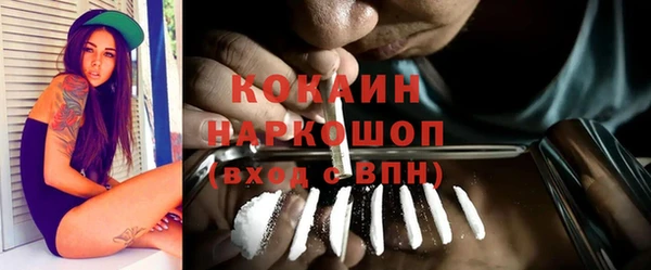 СК Богородск