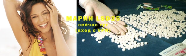 индика Богородицк
