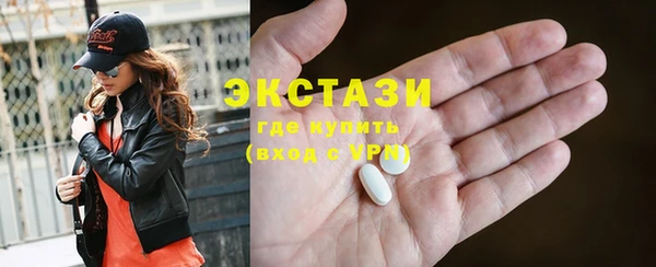 индика Богородицк