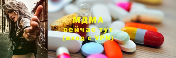 индика Богородицк