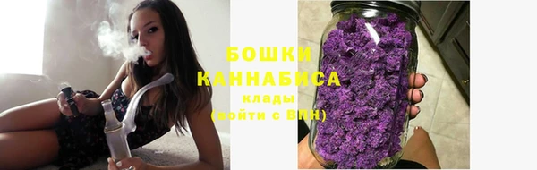 индика Богородицк