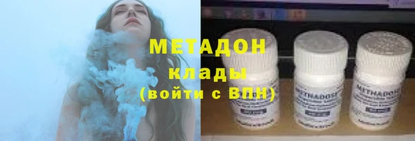 индика Богородицк