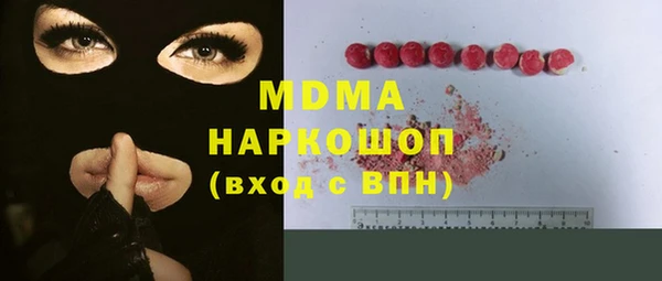 индика Богородицк