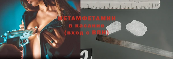 индика Богородицк