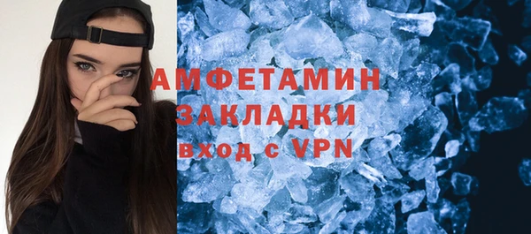 индика Богородицк