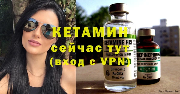 индика Богородицк