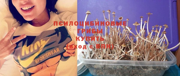 индика Богородицк