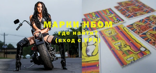 индика Богородицк