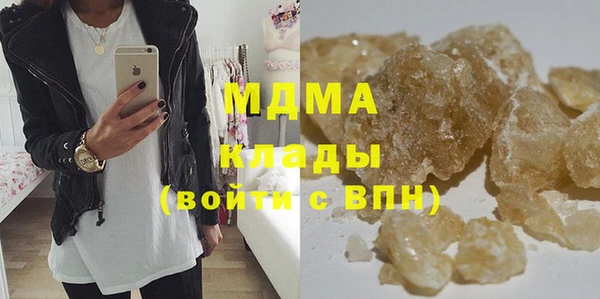 индика Богородицк