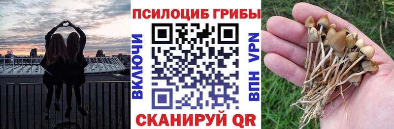 нарко площадка состав  мега маркетплейс  Когалым  дарнет шоп  Псилоцибиновые грибы мицелий 